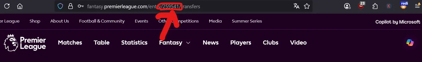 A picture of the URL in the address bar, with the FPL ID highlighted.