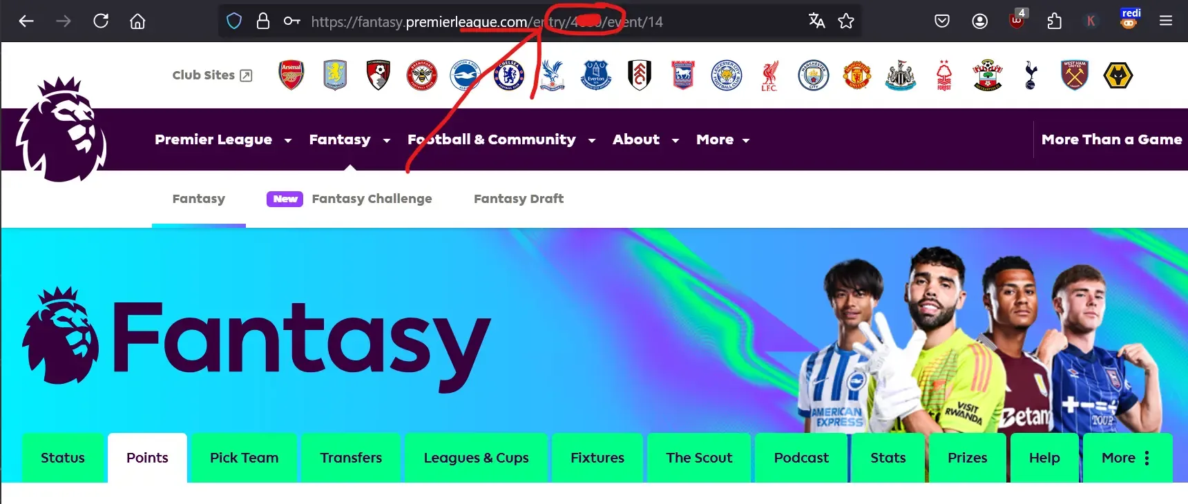 A picture of the URL in the address bar, with the FPL ID highlighted.